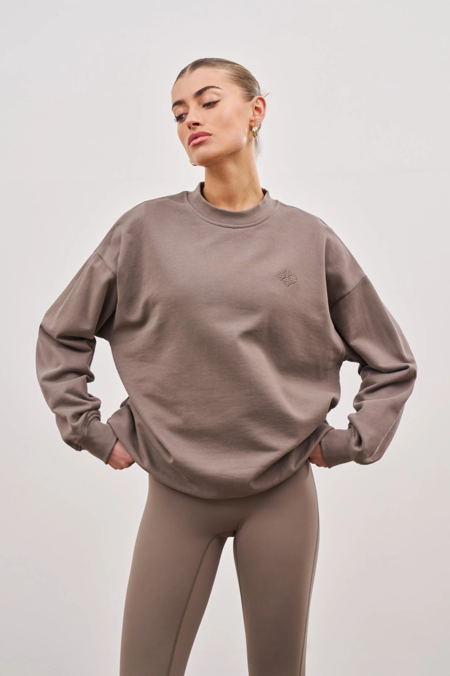 EMBLEM OVERSIZED SWEATSHIRT - COCOA - Image 6
